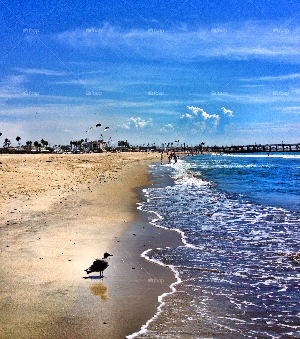 beach ocean sky summer by analia