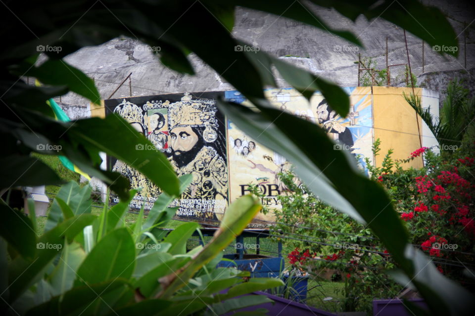 Flower, Garden, Leaf, Flora, Tree