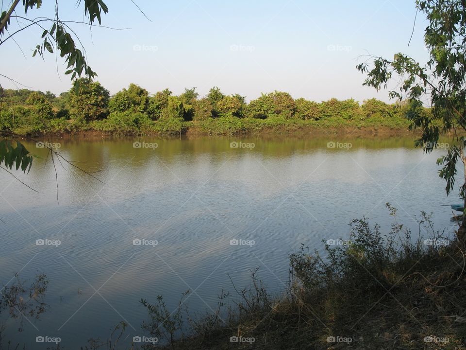 Nature Thailand 