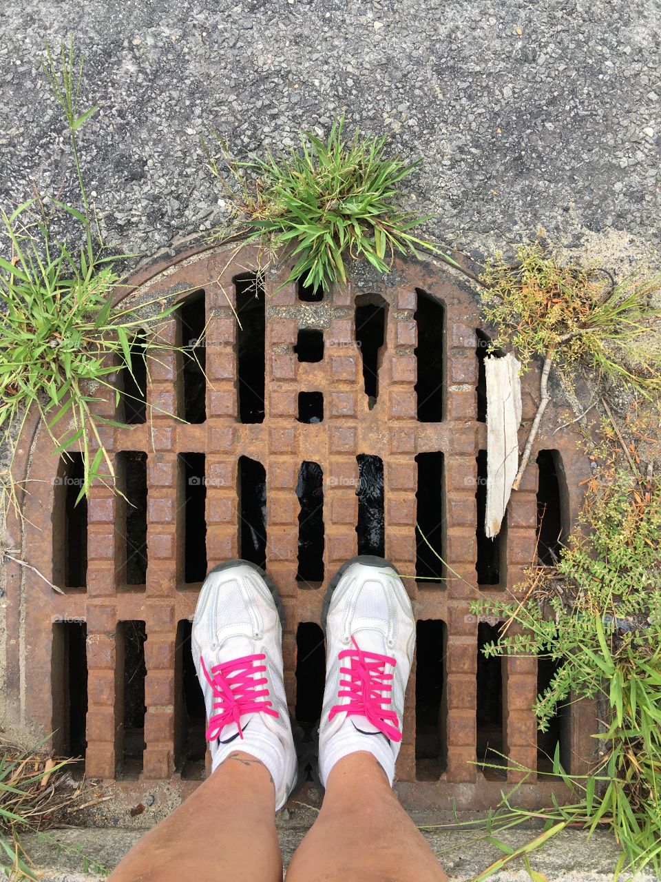 Standing on drainage grate before crossing street.