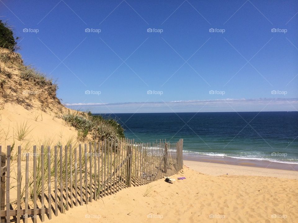 Cape cod beach. Cape cod beach