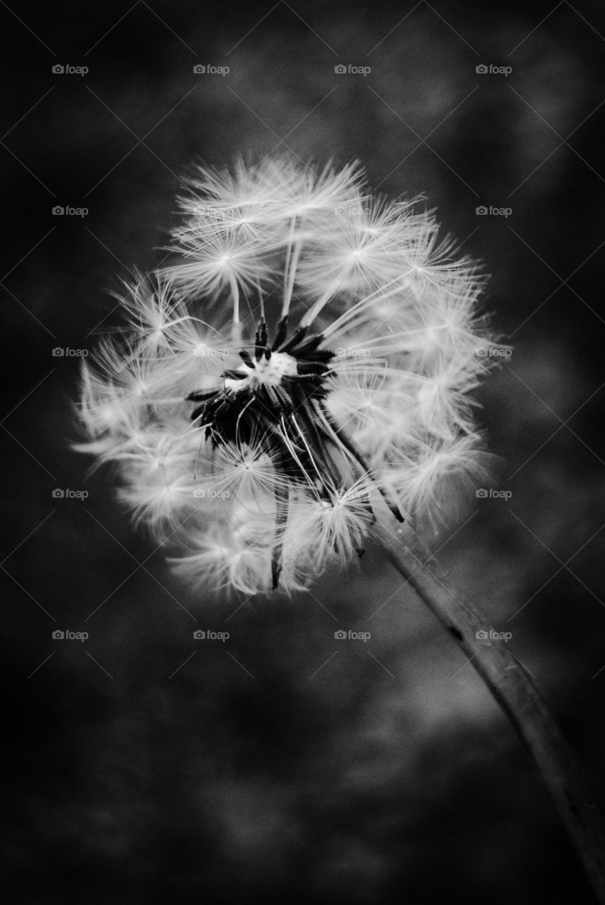 The beauty of nature