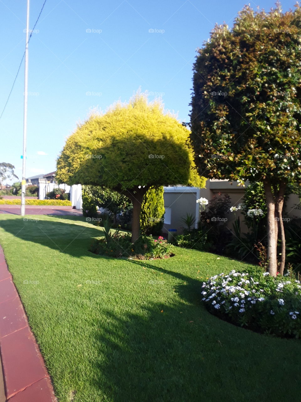 A beautiful garden outside the house.
