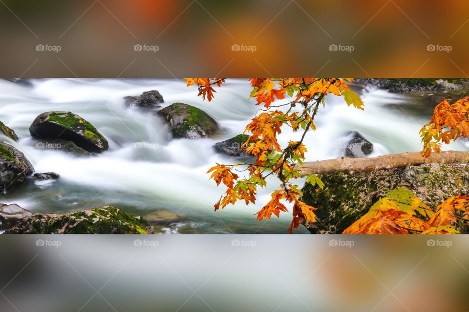 Orange Slice Blur. lower Snoqualmie Falls in Washington State