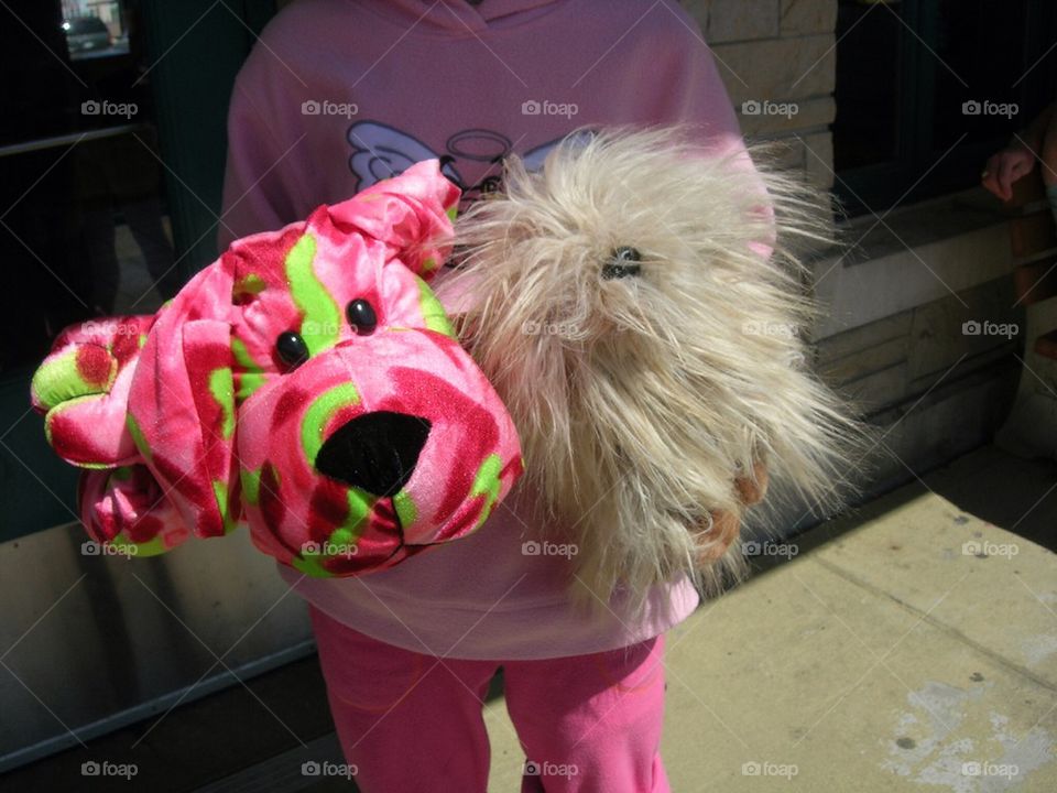 Stuffed Animal Prizes