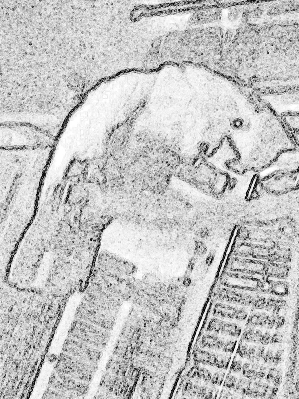 Cockatoo on a Cage - crayon effected blur 