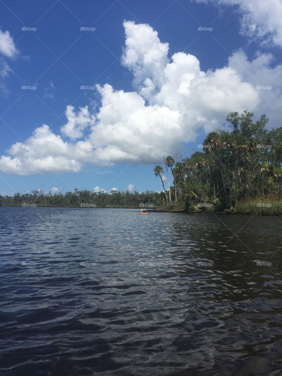 Florida river kayaking