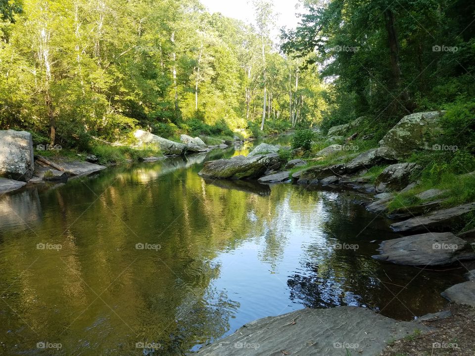 Water, River, Nature, Landscape, Wood