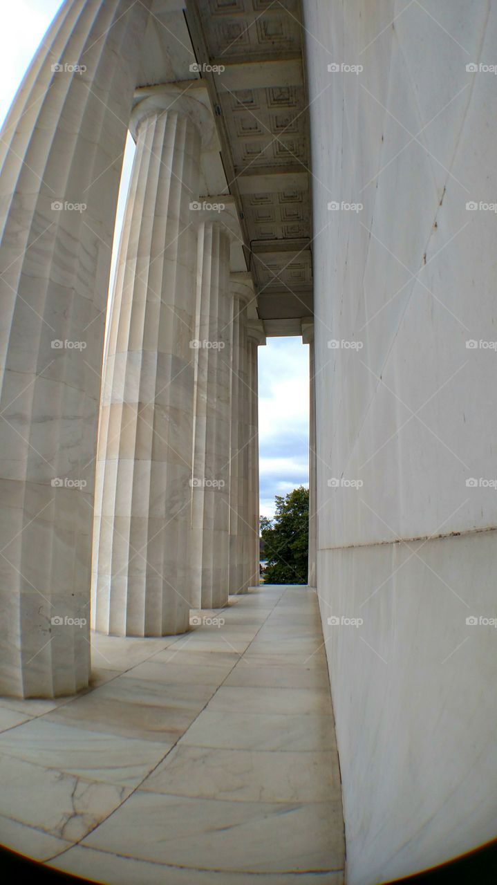 Washington Columns