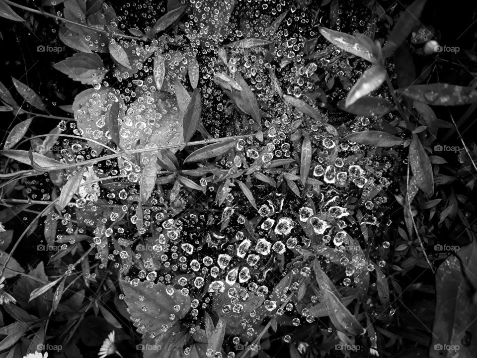 All the inspiration comes from mother nature. If we look around we can find beautiful tiny little creations of nature everywhere. A shot of raindrops on a cobweb.