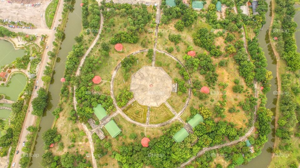 Tree, Desktop, Nature, No Person, Leaf