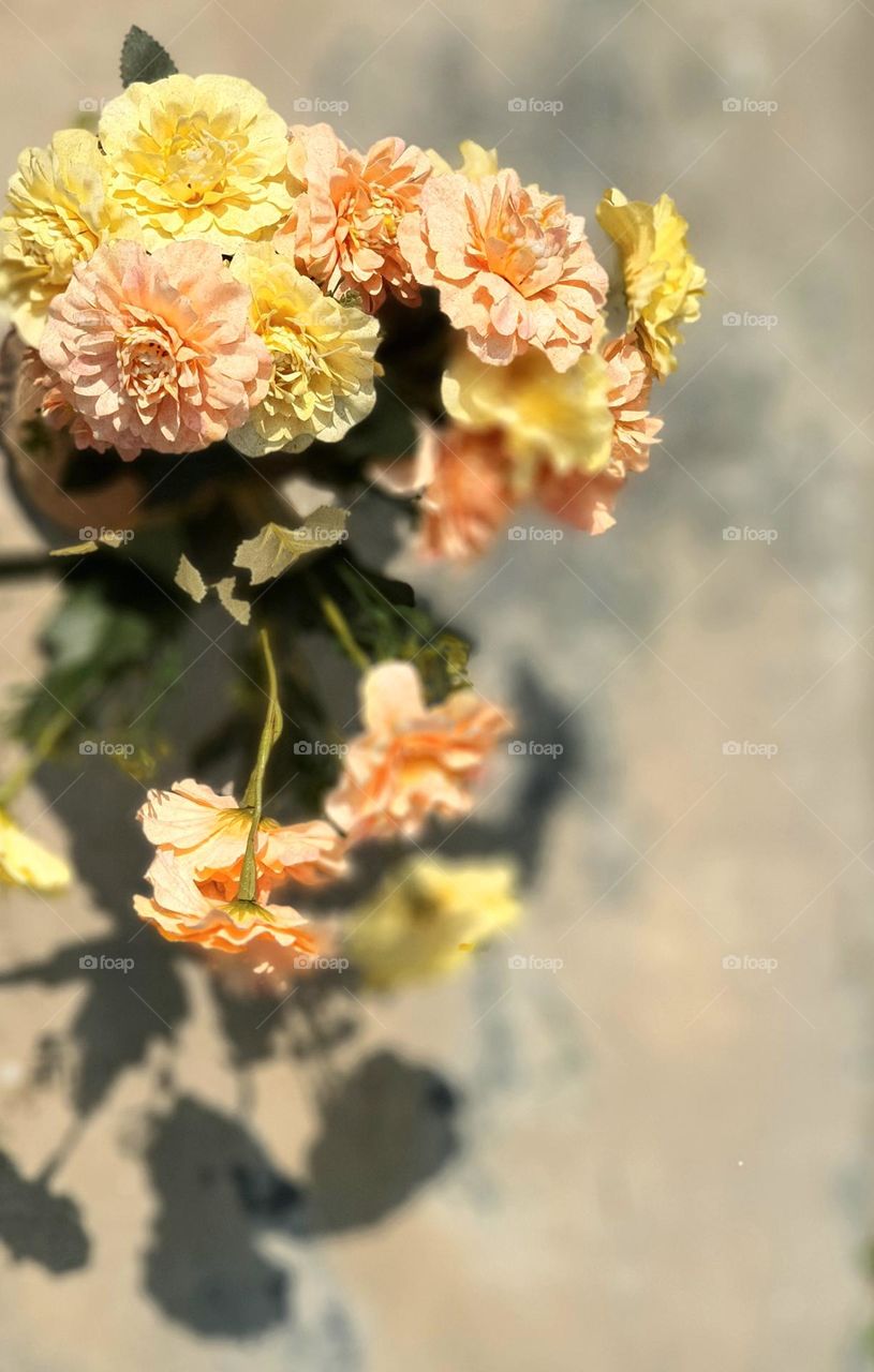 Flowers in Bamboo Vase with Shadow Reflection on a Sunny Day