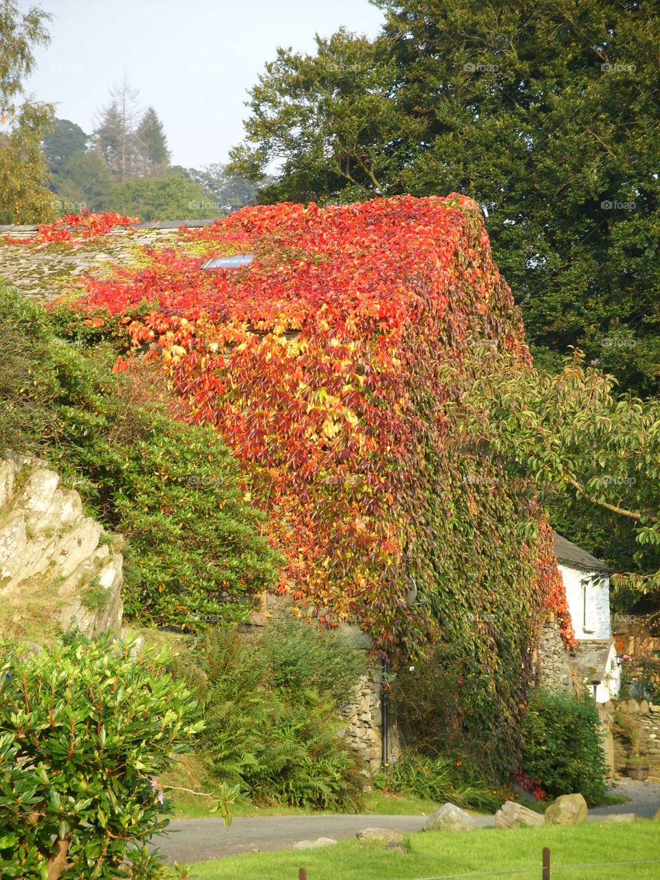 autumnal hidden house