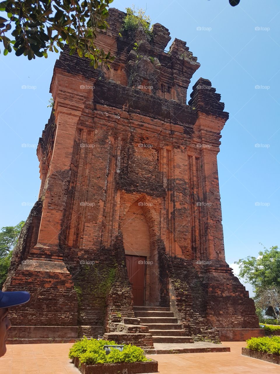 Tháp Tràm Việt Nam