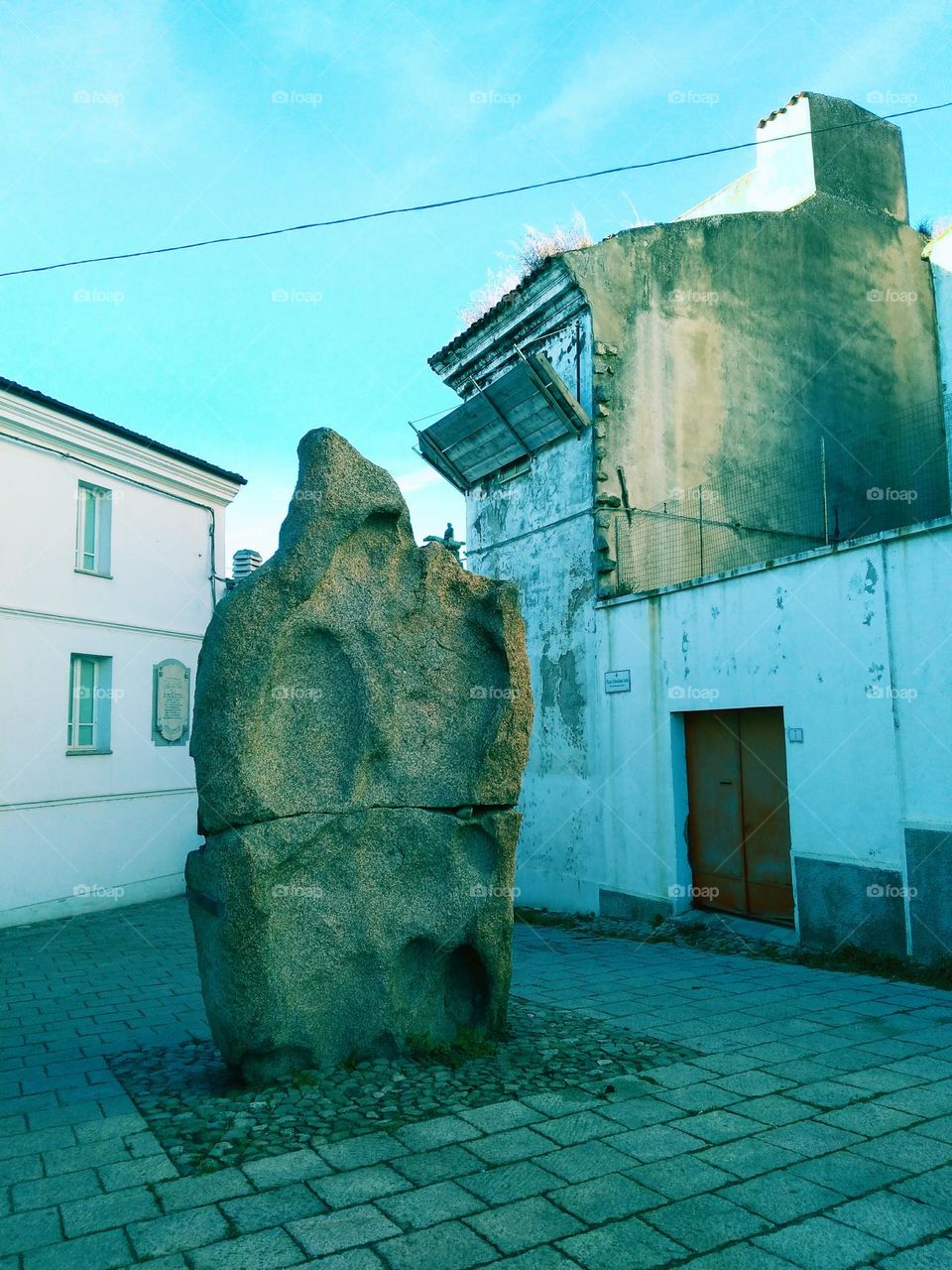 Editors' Choice - Photo of the Week