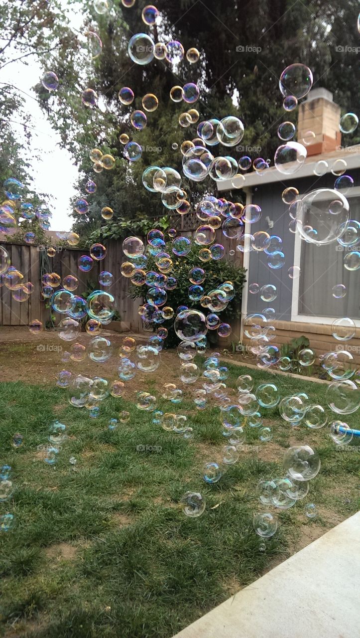 bubbles. easter fun