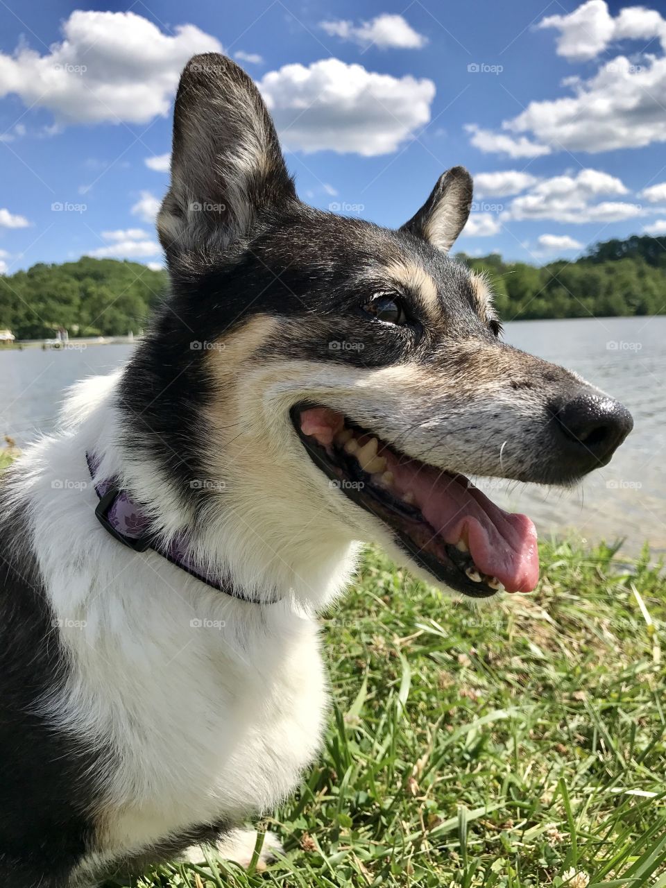 Summer at the lake 