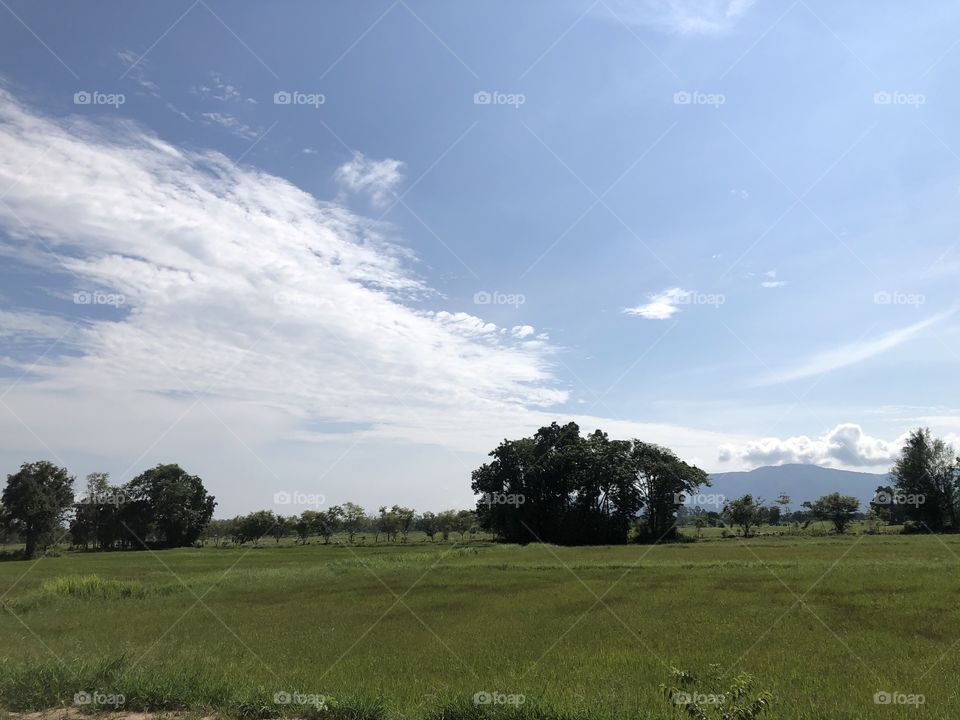 Holiday with my family, Countryside ( Thailand 🇹🇭