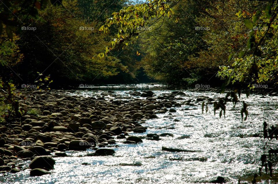 river rocks group1 by refocusphoto