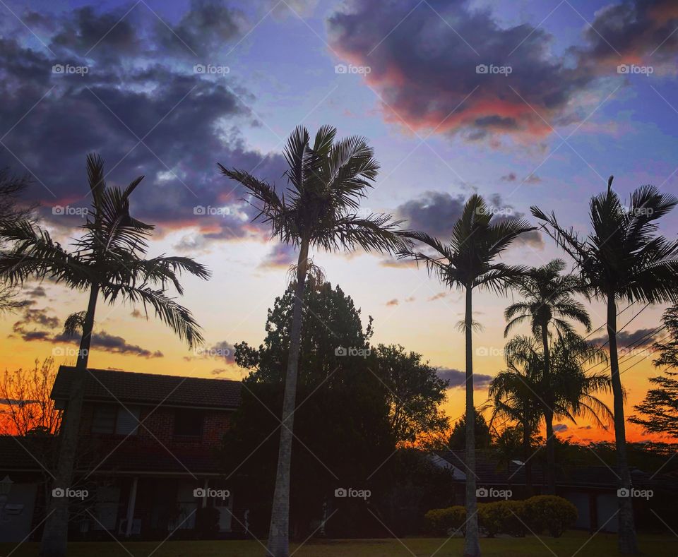 Tropical sunset with palm trees 