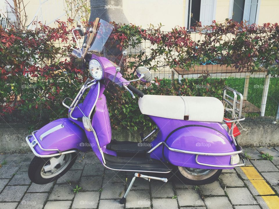 Purple scooter