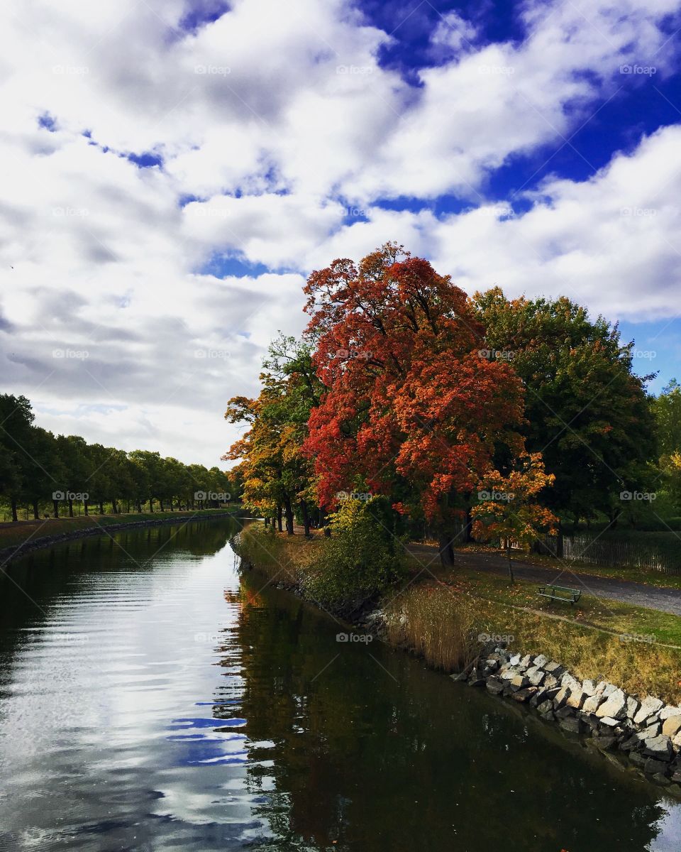 Djurgårdskanalen autumn