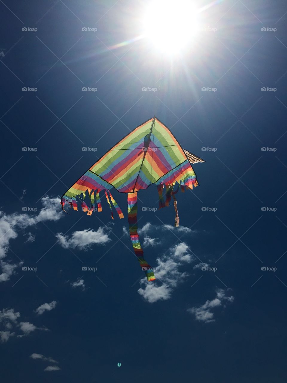 Kite in the blue sky of june