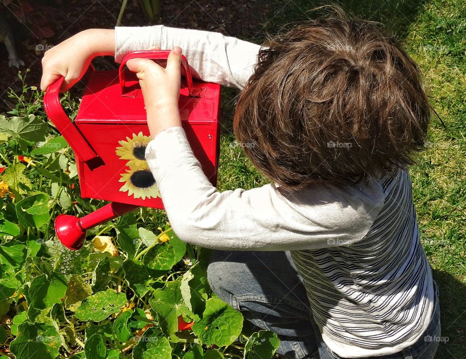 Little Boy Watering Garden Flowers