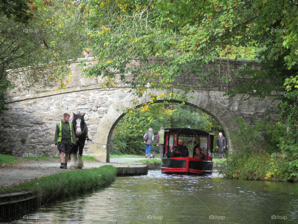 Llangollen canal