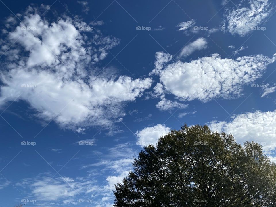 A beautiful day to walk 