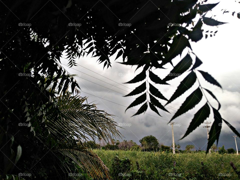 The field before Rain. Photography of northeast in Brazil. Ceará - Northeast - Brazil