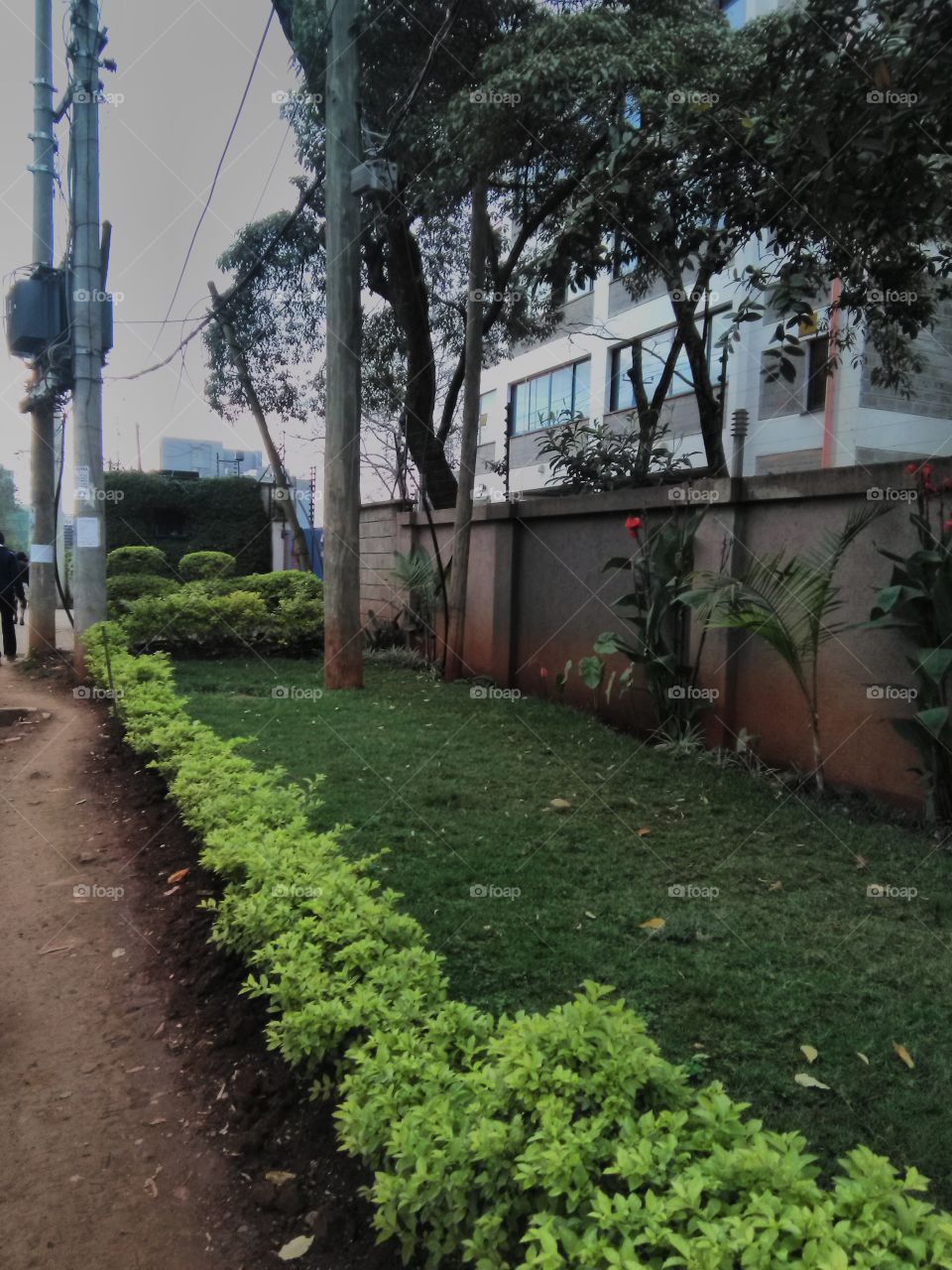 This photo shows a well maintained green garden at the entrance of residential apartments.
