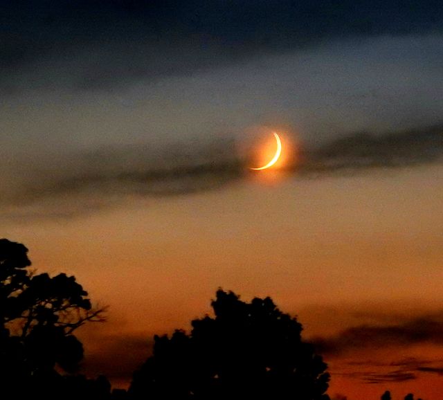 Crescent Moon