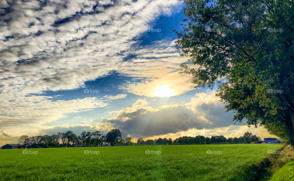 Fluffy white clouds over a farmfield sunrise landscape