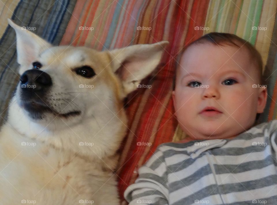 Baby Girl With Family Dog