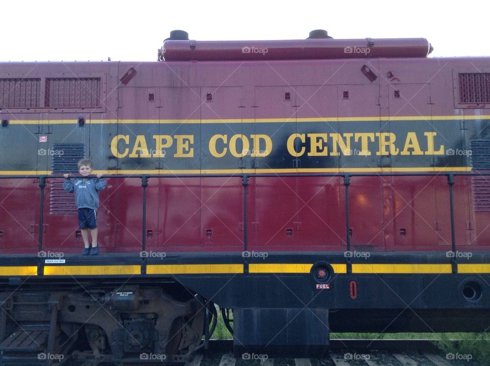 Cape Cod Train