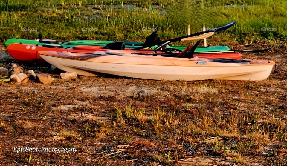 Ready to ride the waves