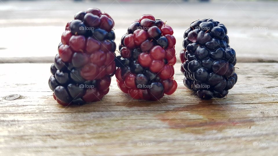 Close-up of blackberry
