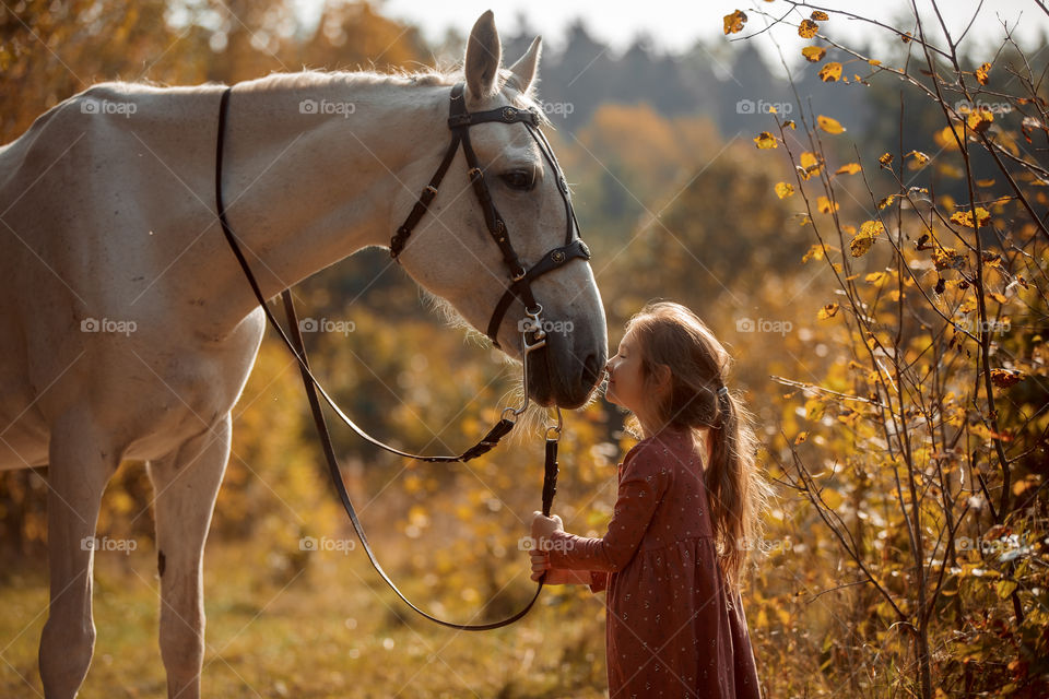 Little girl with grey horse in autumn park 