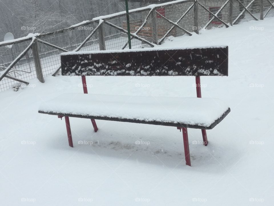 Bench under the snow