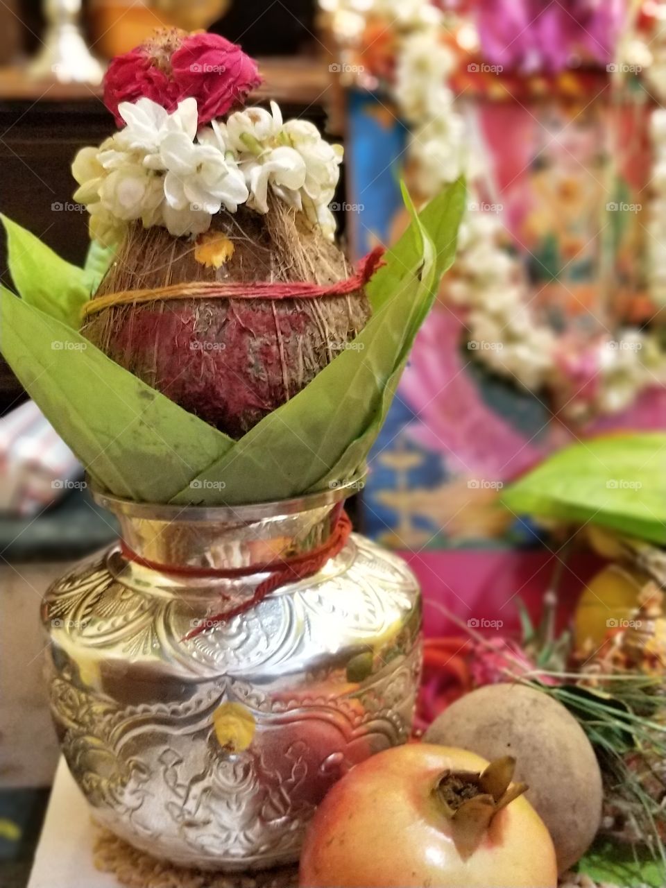 pooja and festival in India. coconut and bettel leaves