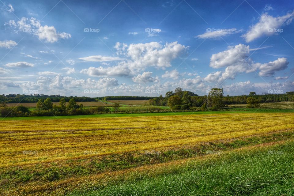 Nature. Autumn Fields