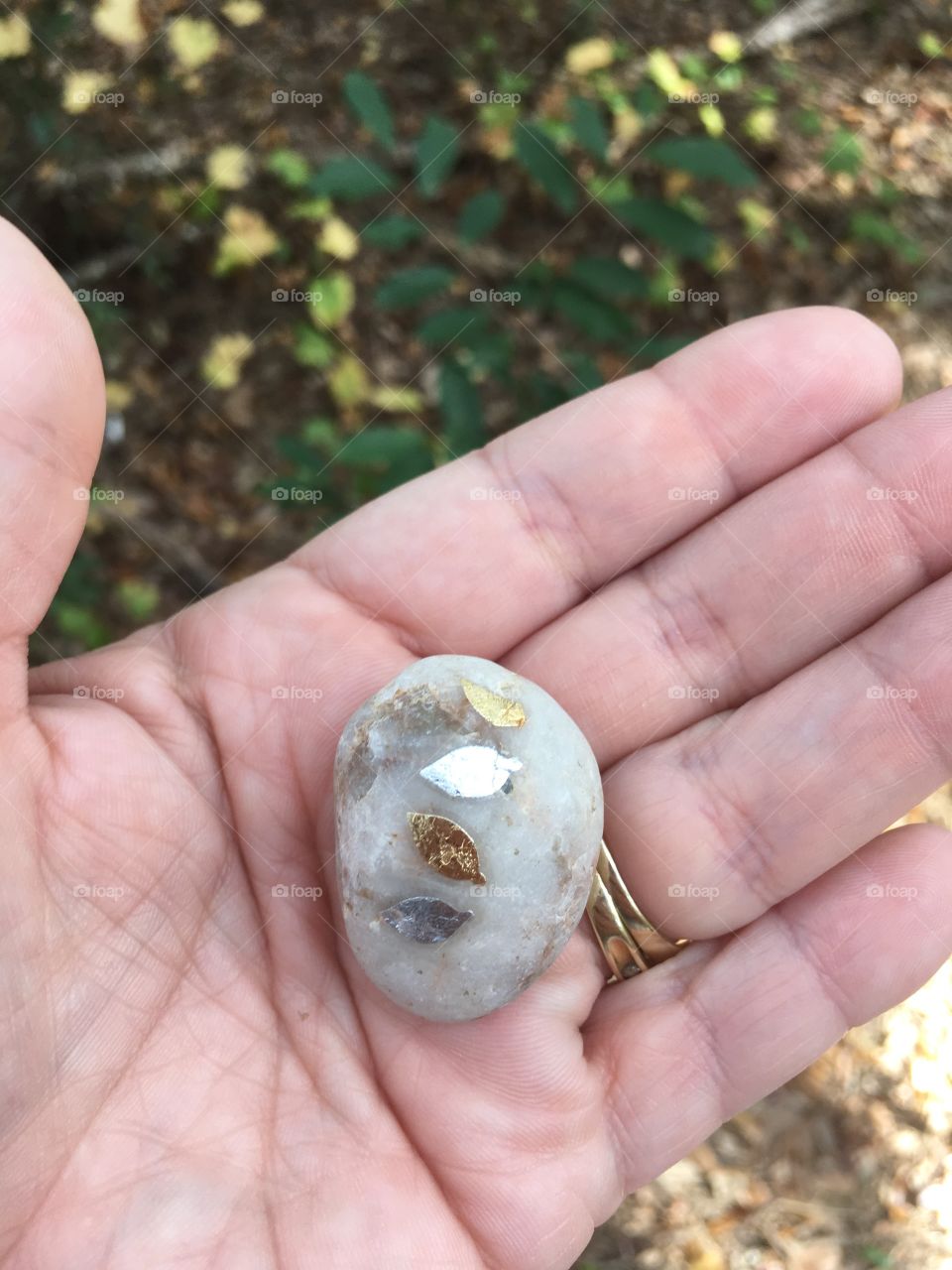 Special Gift while on a walk in Orlando Florida 