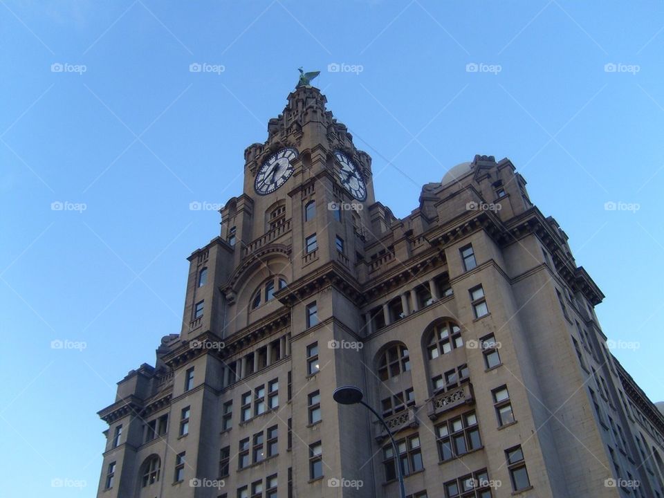 Liver Building