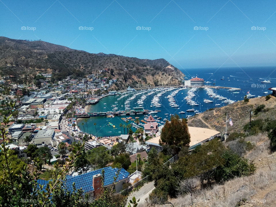 Hilltop view of Avalon Bay in Santa Catalina Island, California