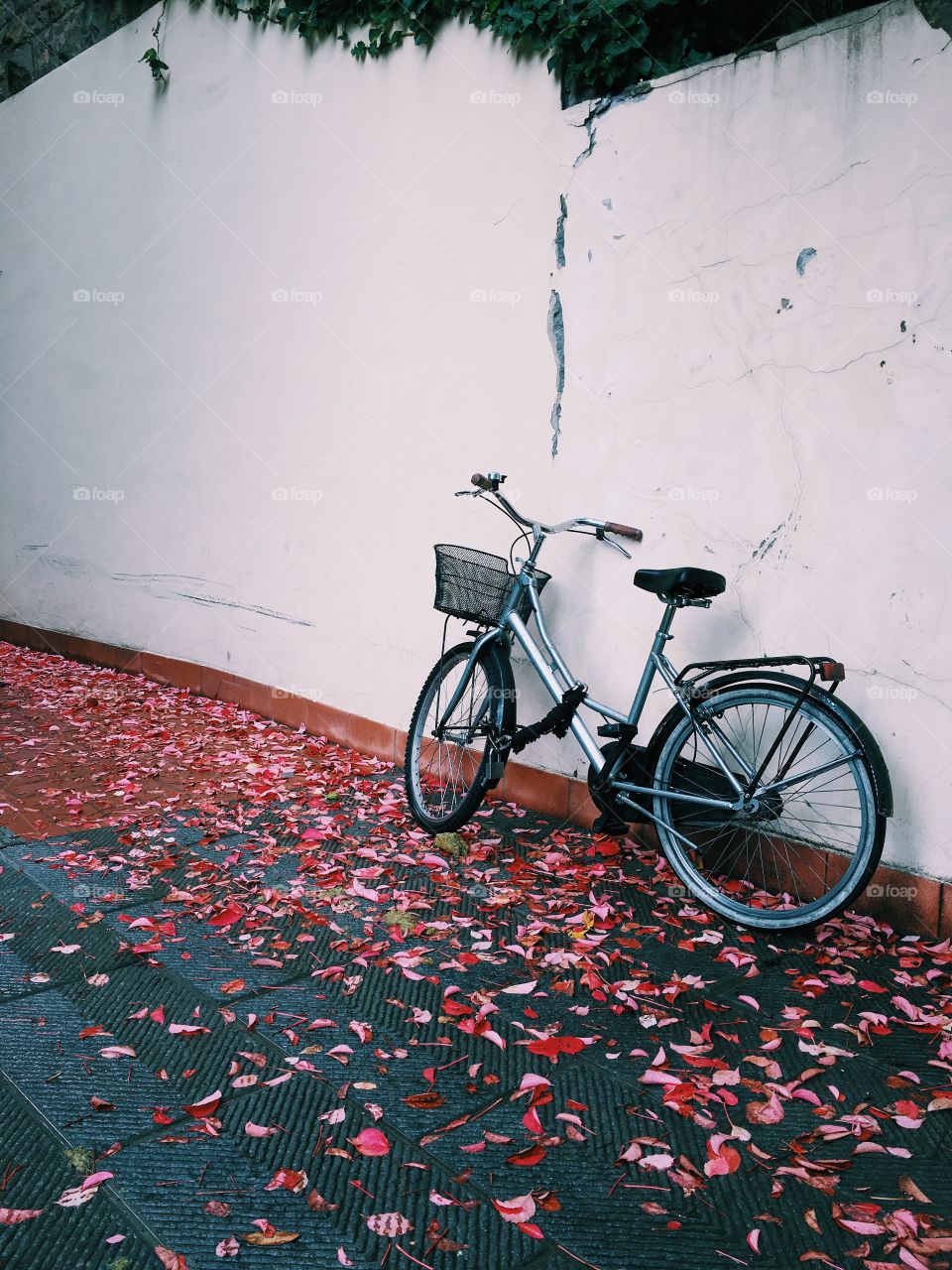Bicyckes in Autumn. Sampling Fall colours, a bycicle parked against a blank wall and red magical small dead leaves laying on the stone floor