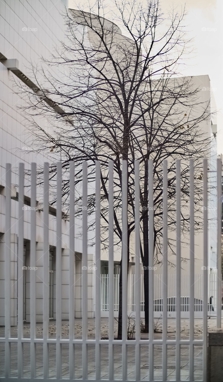 MACBA rear front. Barcelona