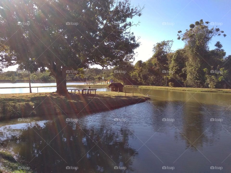 A small lake in a residential area