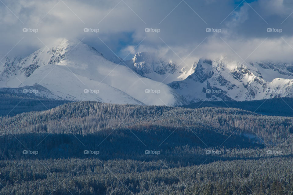 Scenic view of winter landscape