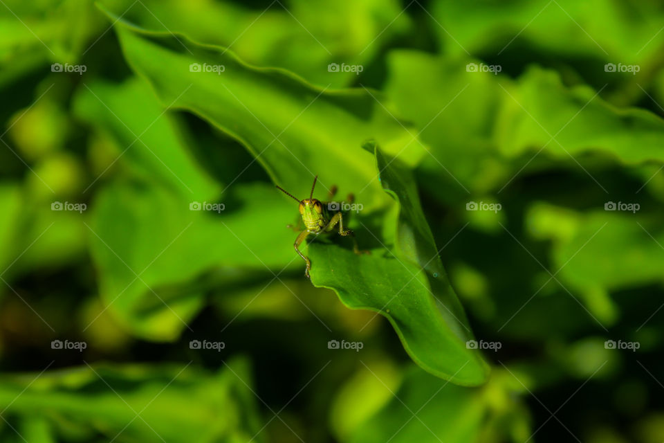 What are you looking for